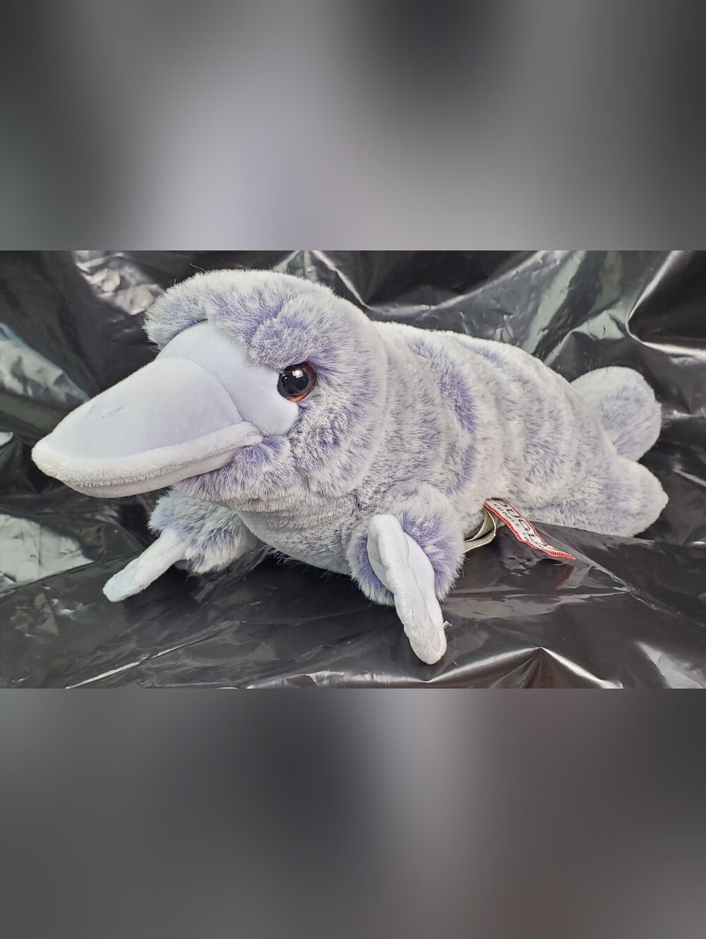 Douglas Cuddle Toy 15" Allie Platypus Soft Stuffed Animal Plush Toy # 4639 - GUC